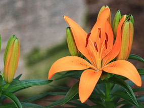 ˮ�ɻ�����