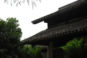 ��ͤ����