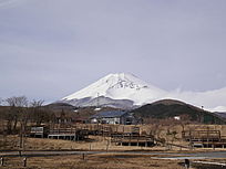 츻