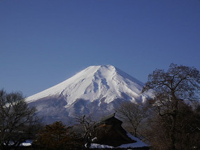 ������ʿɽ