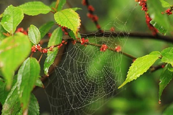 ����֩��