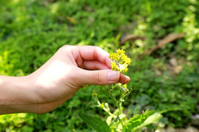 �û������