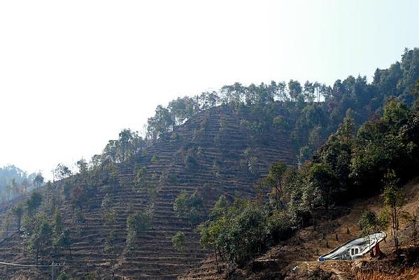 ����ɽ��