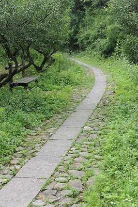 ����С��