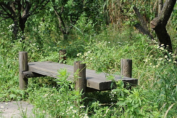 ��Ϫʪ��ֲ��