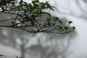 ����̨��