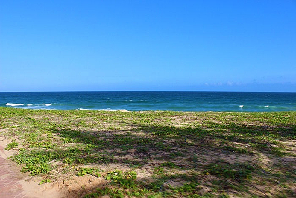 ε��ɫ�ĺ�̲