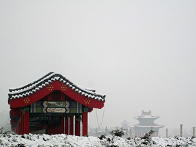 ��ɫ�������ѩ�����ӳ