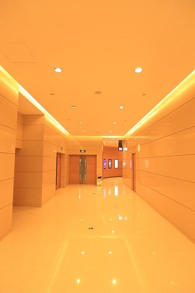 �̳�������