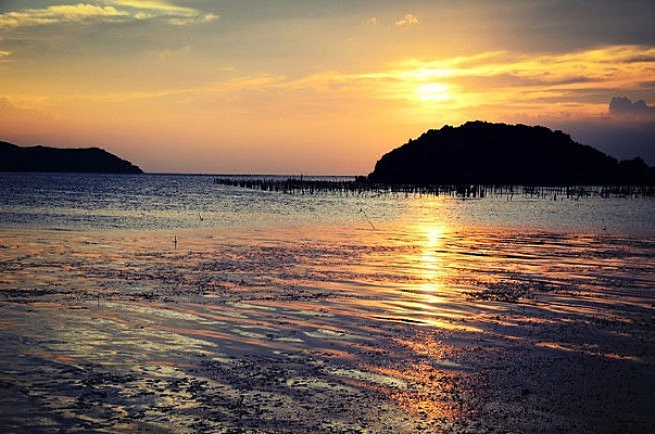 Ϧ���µ����