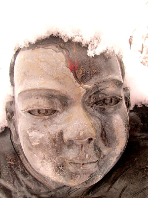 ������дͼƬ