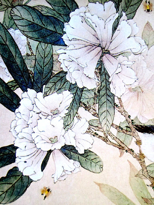 �й����ž�