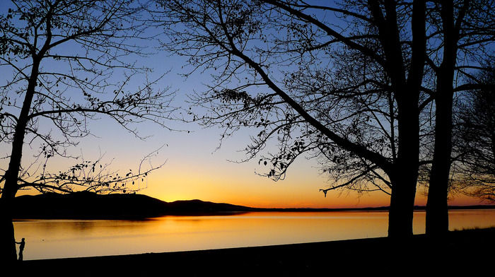 ����������ľ����