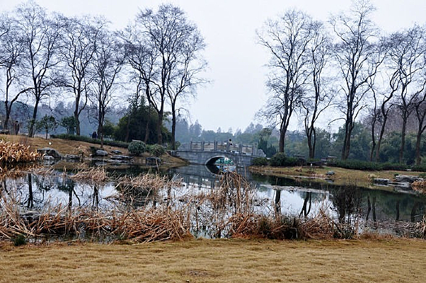 �����ݵط��