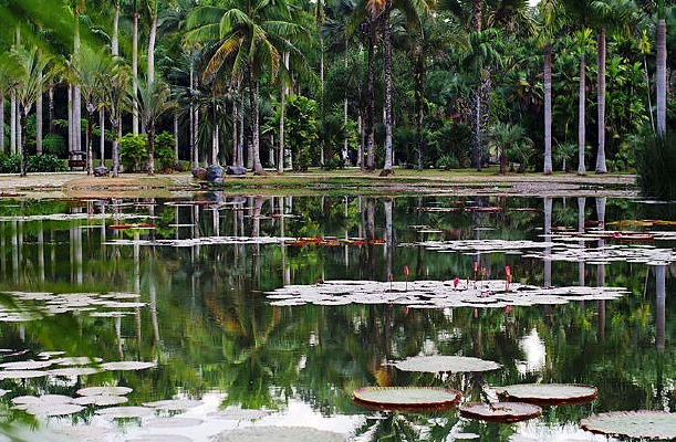 ���׺���