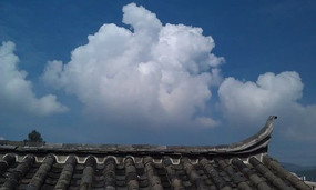 �ݶ������