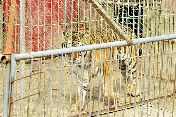 ����֮��