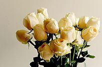 ��¶��õ��