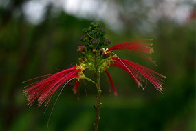 ������Ļ�