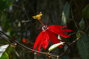 �컨������