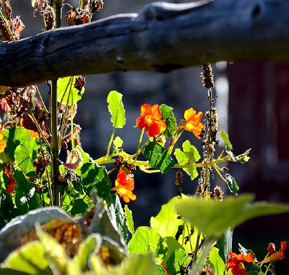 Ϧ���еĻ���