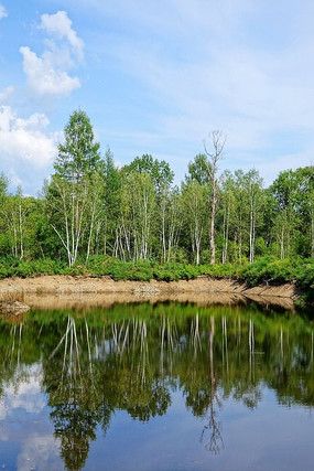 ��Ӱ����