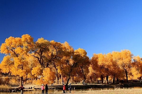 ��Į������