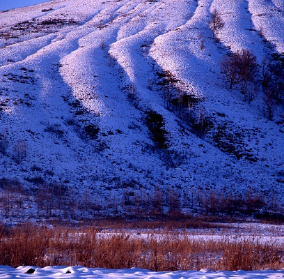 ѩɽ���ַ��