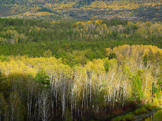 �＾���־�ɫ