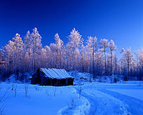 �ֺ�ѩԭ����