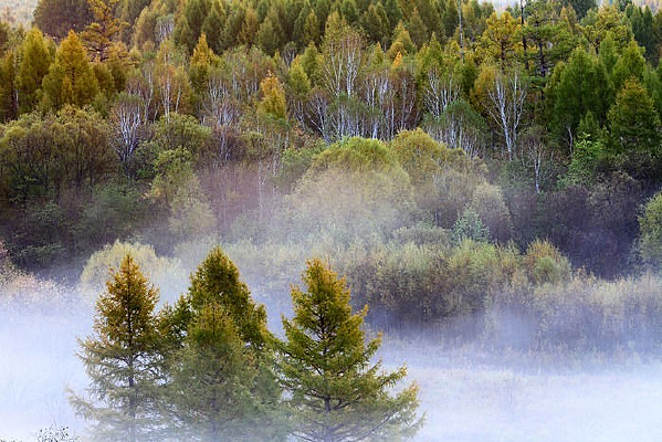 ���г���