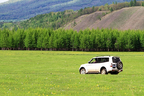 �ݵ��ϵ�ԽҰ��