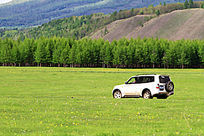 �ݵ��ϵ�ԽҰ��