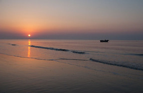 ������ʻ