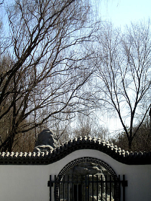 ��լ����