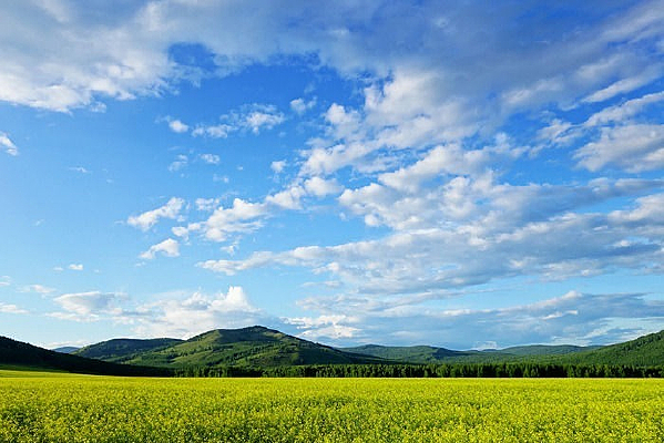 ��԰�����ҰԶɽ