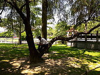 ���Ŵ�ѧ�����