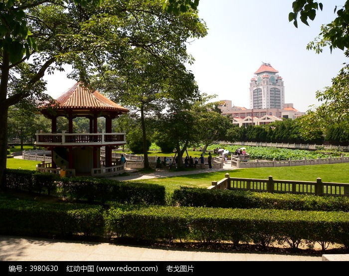 ���Ŵ�ѧ��¥��ͤ��ͼƬ