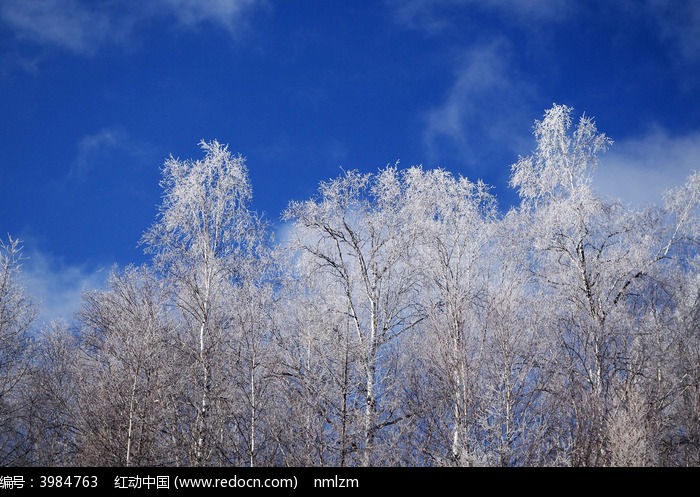 ѩ����ڡͼƬ