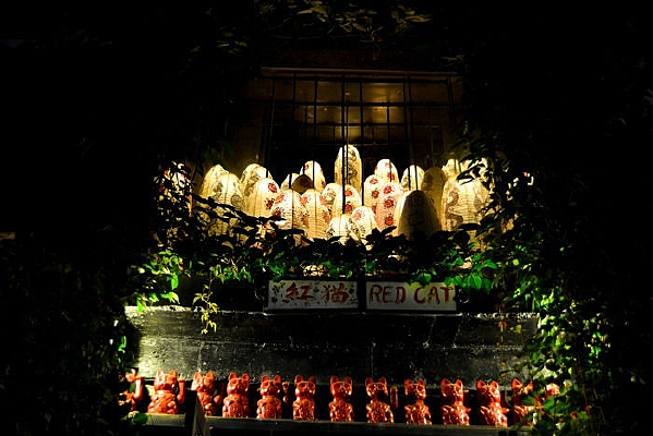 ��ɫ���ݵ�