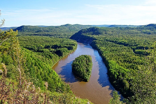 ����ɭ��