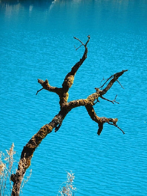 ��ɫ����