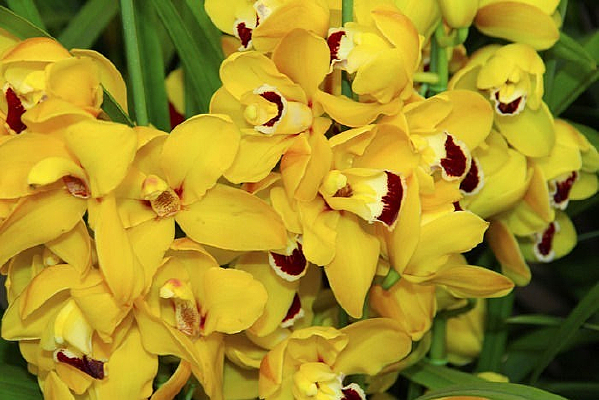 ��������������