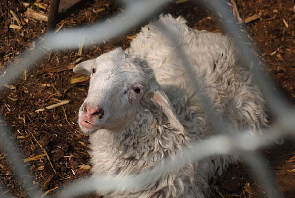 ��������