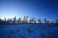 �����ߵ�����