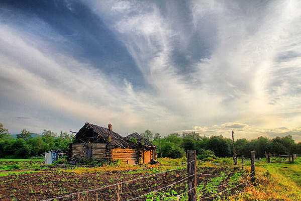 ũ����԰����