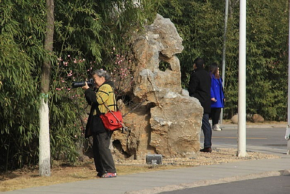 ��Ӱ������