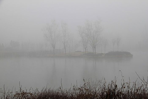 ��԰����