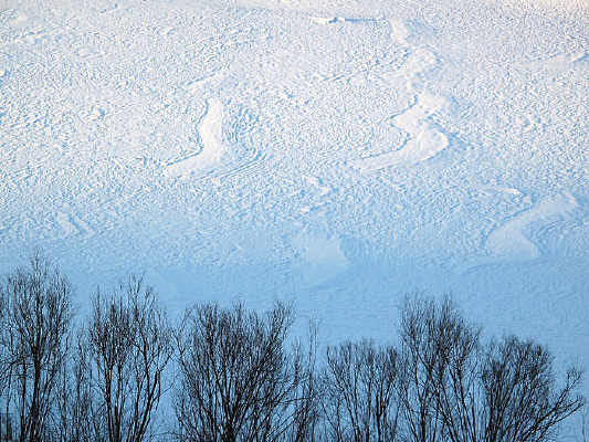 ����ѩ��