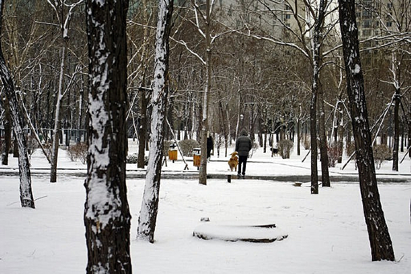 �����Ķ���